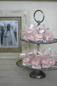 �������@�v�`�M�t�g�@�}�J����